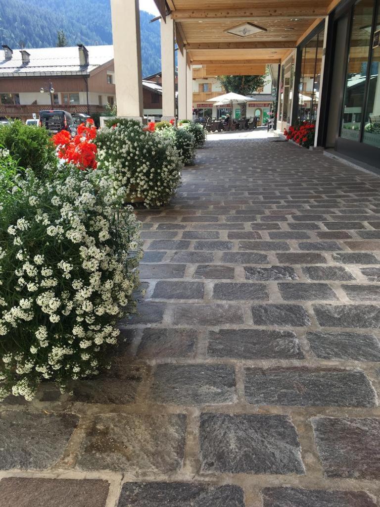 Apartment Residenza Grazia *